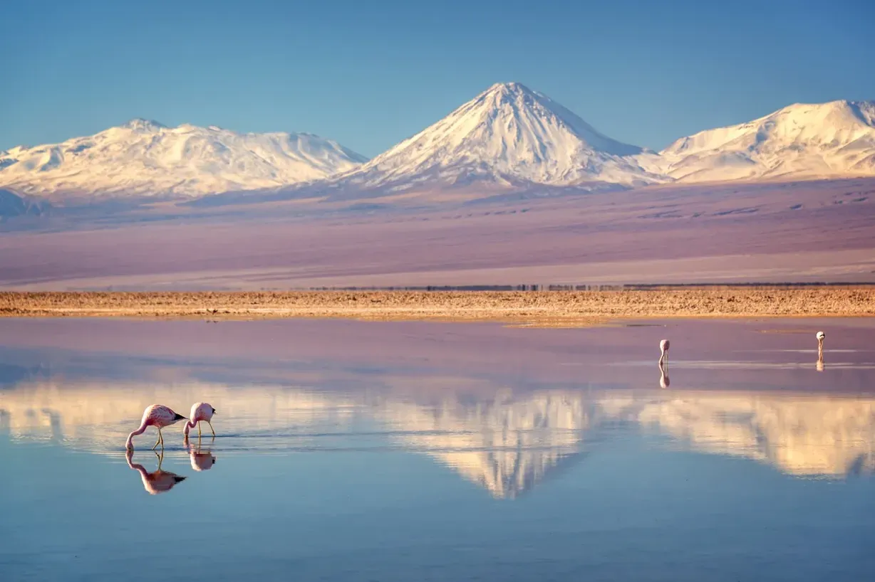 The Driest, Most Beautiful Place on Earth: A Guide to Chile's Atacama ...