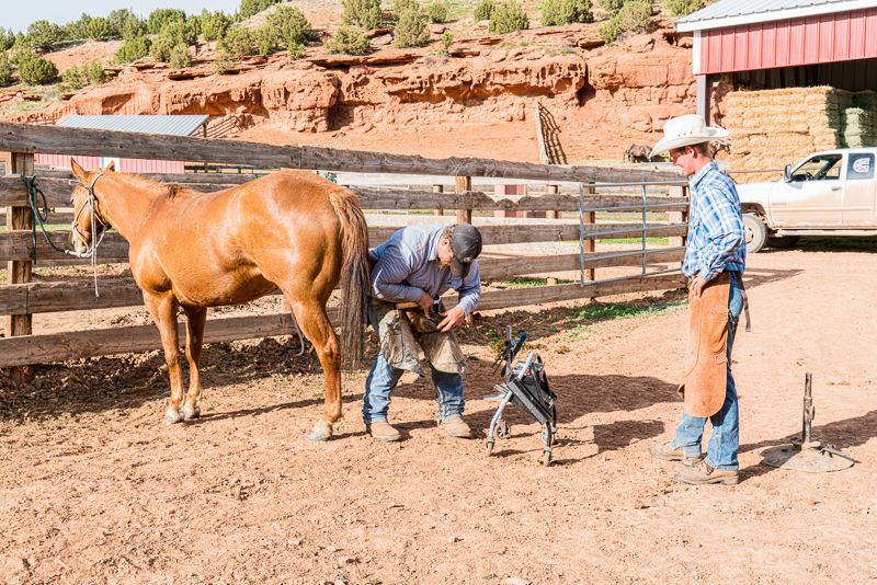 Don Wayne Ranch 8 Trips for Father's Day That He Won't Forget | Oyster | Oyster.com