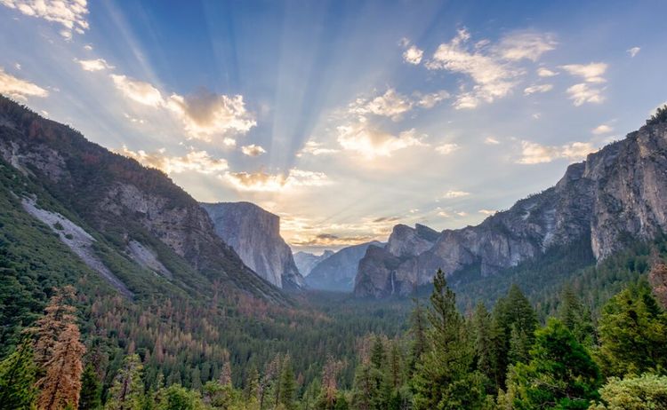 Yosemite Survival Bandana - Multi-Function Emergency Map Scarf For Hiking & Outdoor Adventures