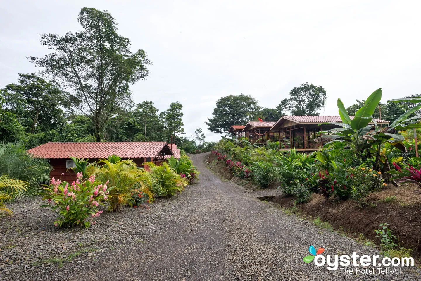 Heliconias Nature Lodge Review: What To REALLY Expect If You Stay ...